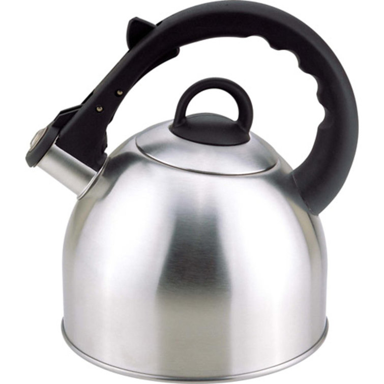 Wayfair on sale tea kettle